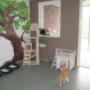 Dierenpension Happy Care