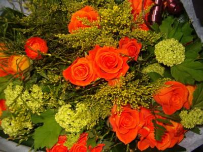 hmfbloemen