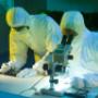 Stellar Data Recovery