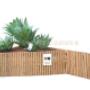 bamboe borders