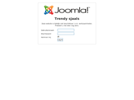 Trendy Sjaals