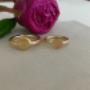 Ringen met vingerafdruk