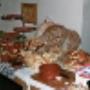 Lunch Expresse Zaanstreek
