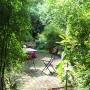 Bamboetuin