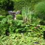 Natuurlijke tuin