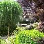Tuin met omsloten terras