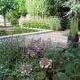 Tuin met strakke vijver