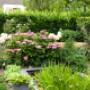 Tuin met weelderige beplanting