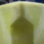 Saeplast - Promens Tub - container reparatie