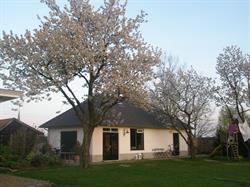 Atelier Riel