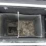 vogelnesten ventilatiekanalen