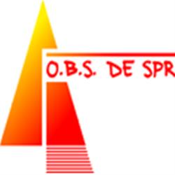 Openbare Basisschool De Springplank
