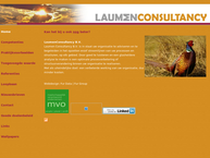 Laumenconsultancy Bv