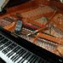 Lansink Pianoservice