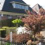 Huisarts A M van der Willigen/Mevrouw J. Fongers