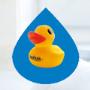 Boshuis Thuis in water