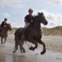 Hotel DoniaState Vlieland