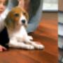 Fred van Rijn Zonwering & Woninginrichting