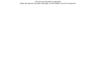 BSV Business Support