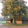 B&B Vakantie-Logeerboerderij De Martiene Plats Venray
