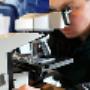 MM LAB BV - Milieu en Metaalmetingen