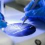 MM LAB BV - Milieu en Metaalmetingen