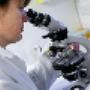 MM LAB BV - Milieu en Metaalmetingen