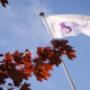 De vlag