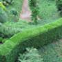 Belle Tuinonderhoud