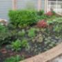 Belle Tuinonderhoud