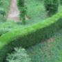 Belle Tuinonderhoud