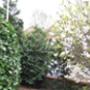 Belle Tuinonderhoud