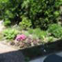 Belle Tuinonderhoud