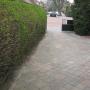 Belle Tuinonderhoud