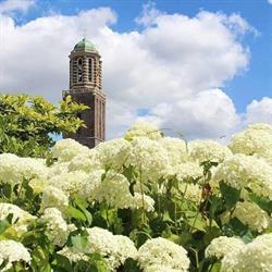 Vink Administratie