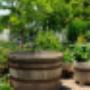 Hoveniersbedrijf Ad Visser Tuinonderhoud
