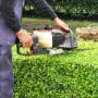 Hoveniersbedrijf Ad Visser Tuinonderhoud
