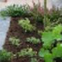 Hoveniersbedrijf Ad Visser Tuinonderhoud