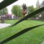 Hoveniersbedrijf Lifestyle Gardens