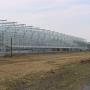 Duijnisveld BV