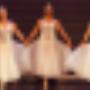 Leidse Ballet & Theaterschool