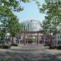 Molenhout VOF