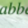 Slabbekoorn Hoveniersbedrijf