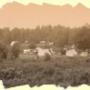Camping De Wapenberg