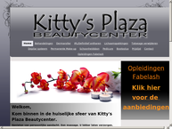 Kitty's Plaza / DS V-Line Nederland