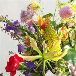 de Jong Fleuriade