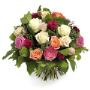 rosa delight