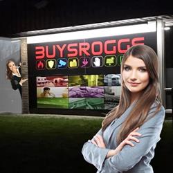 Buysrogge Safe BV