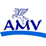 AMV-NH