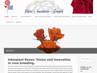 Interplant Roses Bv